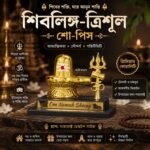 শিবলিঙ্গ ত্রিশুল শোপিস